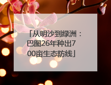 从明沙到绿洲：巴图26年种出700亩生态防线