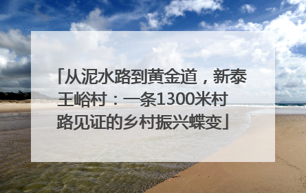 从泥水路到黄金道，新泰王峪村：一条1300米村路见证的乡村振兴蝶变