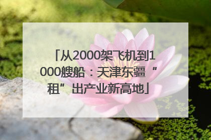 从2000架飞机到1000艘船：天津东疆“租”出产业新高地