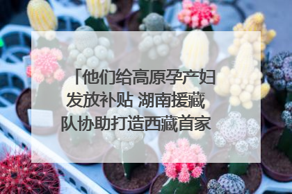 他们给高原孕产妇发放补贴 湖南援藏队协助打造西藏首家高原产儿协同中心