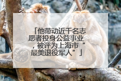 他带动近千名志愿者投身公益事业，被评为上海市“最美退役军人”