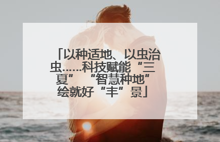 以种适地、以虫治虫……科技赋能“三夏” “智慧种地”绘就好“丰”景