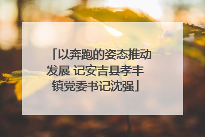 以奔跑的姿态推动发展 记安吉县孝丰镇党委书记沈强