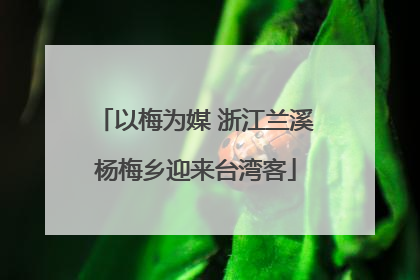 以梅为媒 浙江兰溪杨梅乡迎来台湾客