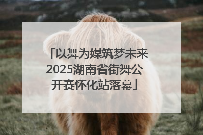 以舞为媒筑梦未来 2025湖南省街舞公开赛怀化站落幕