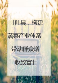 叶县：构建蔬菜产业体系 带动群众增收致富