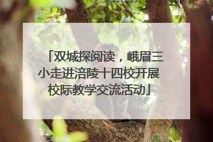 双城探阅读，峨眉三小走进涪陵十四校开展校际教学交流活动