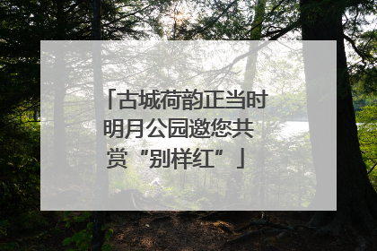 古城荷韵正当时 明月公园邀您共赏“别样红”