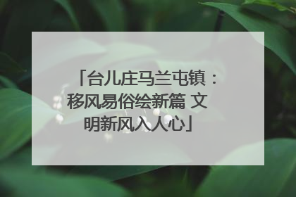 台儿庄马兰屯镇：移风易俗绘新篇 文明新风入人心