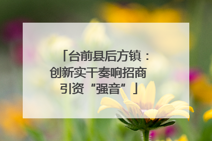 台前县后方镇：创新实干奏响招商引资“强音”