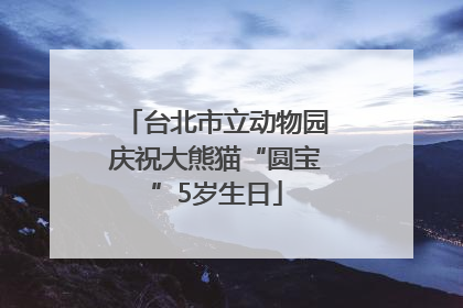台北市立动物园庆祝大熊猫“圆宝”5岁生日