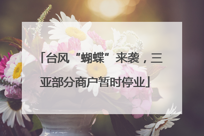 台风“蝴蝶”来袭，三亚部分商户暂时停业