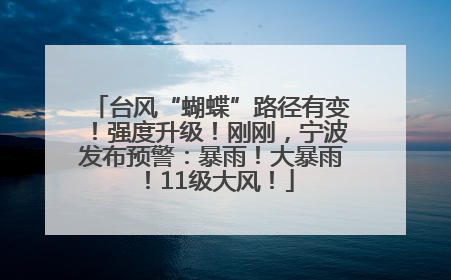 台风“蝴蝶”路径有变！强度升级！刚刚，宁波发布预警：暴雨！大暴雨！11级大风！