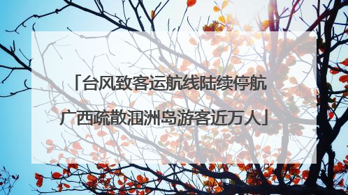 台风致客运航线陆续停航 广西疏散涠洲岛游客近万人