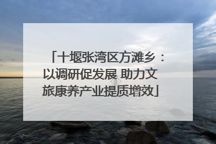十堰张湾区方滩乡：以调研促发展 助力文旅康养产业提质增效