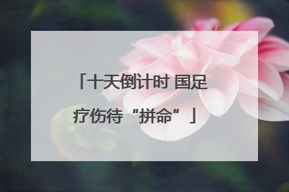 十天倒计时 国足疗伤待“拼命”