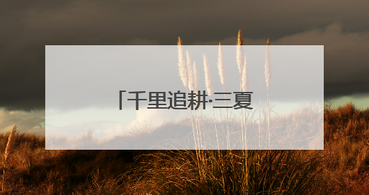 千里追耕·三夏时节丨战三夏保丰收 探索“中原粮仓”里的科技感