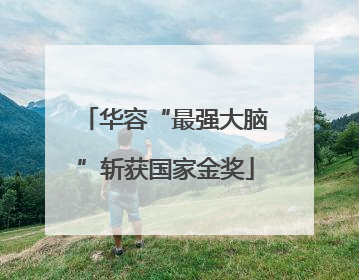 华容“最强大脑”斩获国家金奖