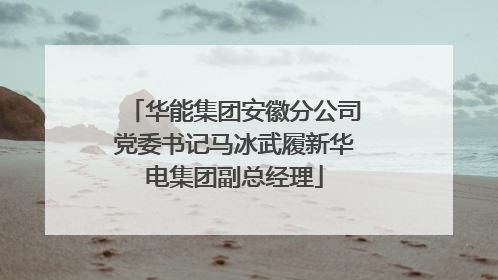 华能集团安徽分公司党委书记马冰武履新华电集团副总经理