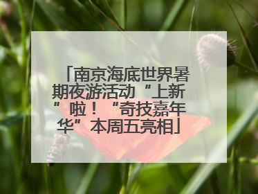 南京海底世界暑期夜游活动“上新”啦！“奇技嘉年华”本周五亮相