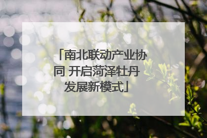 南北联动产业协同 开启菏泽牡丹发展新模式