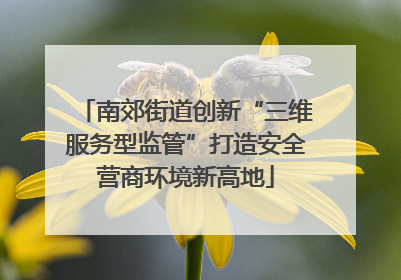 南郊街道创新“三维服务型监管”打造安全营商环境新高地