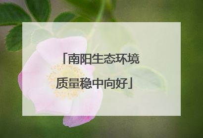南阳生态环境质量稳中向好