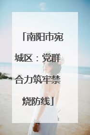 南阳市宛城区：党群合力筑牢禁烧防线