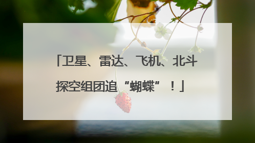 卫星、雷达、飞机、北斗探空组团追“蝴蝶”！
