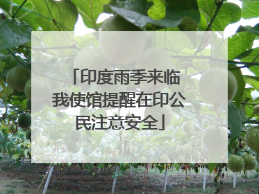 印度雨季来临 我使馆提醒在印公民注意安全