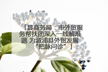 县商务局：市外贸服务帮扶团深入一线解难题 为溆浦县外贸发展“把脉问诊”