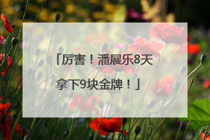 厉害！潘展乐8天拿下9块金牌！