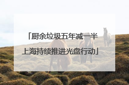 厨余垃圾五年减一半 上海持续推进光盘行动