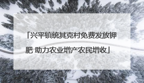 兴平镇统其克村免费发放钾肥 助力农业增产农民增收