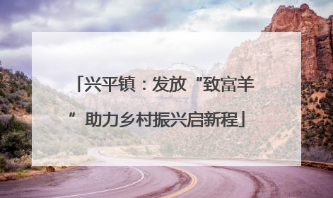 兴平镇：发放“致富羊”助力乡村振兴启新程