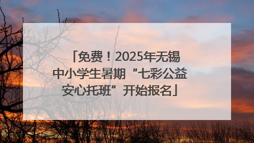 免费！2025年无锡中小学生暑期“七彩公益安心托班”开始报名