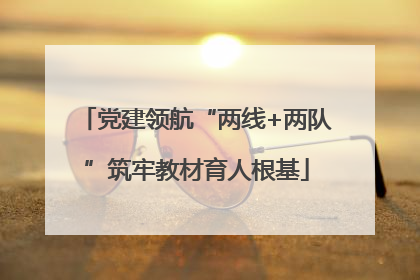 党建领航“两线+两队”筑牢教材育人根基