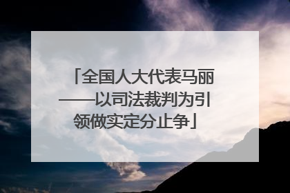 全国人大代表马丽——以司法裁判为引领做实定分止争
