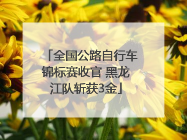 全国公路自行车锦标赛收官 黑龙江队斩获3金