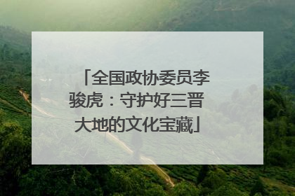 全国政协委员李骏虎：守护好三晋大地的文化宝藏