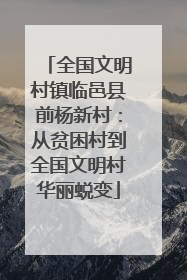 全国文明村镇临邑县前杨新村：从贫困村到全国文明村华丽蜕变