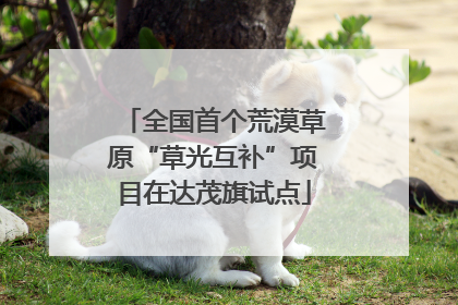 全国首个荒漠草原“草光互补”项目在达茂旗试点