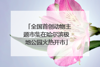 全国首创动物主题市集在哈尔滨极地公园火热开市