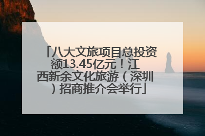 八大文旅项目总投资额13.45亿元！江西新余文化旅游（深圳）招商推介会举行