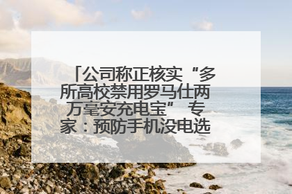 公司称正核实“多所高校禁用罗马仕两万毫安充电宝” 专家：预防手机没电选中等体积产品即可
