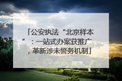 公安执法“北京样本”：一站式办案获推广，革新涉未警务机制