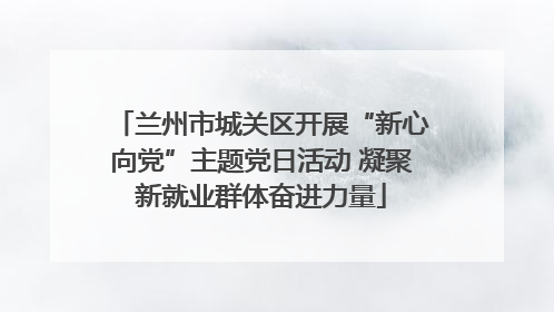 兰州市城关区开展“新心向党”主题党日活动 凝聚新就业群体奋进力量