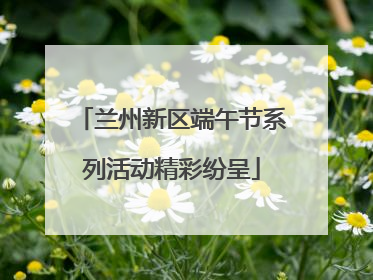 兰州新区端午节系列活动精彩纷呈