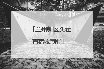 兰州新区头茬苜蓿收割忙