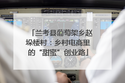兰考县葡萄架乡赵垛楼村：乡村电商里的“甜蜜”创业路